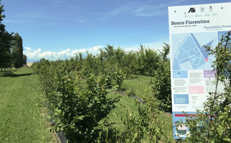 Bosco Fiorentina WOWnature
