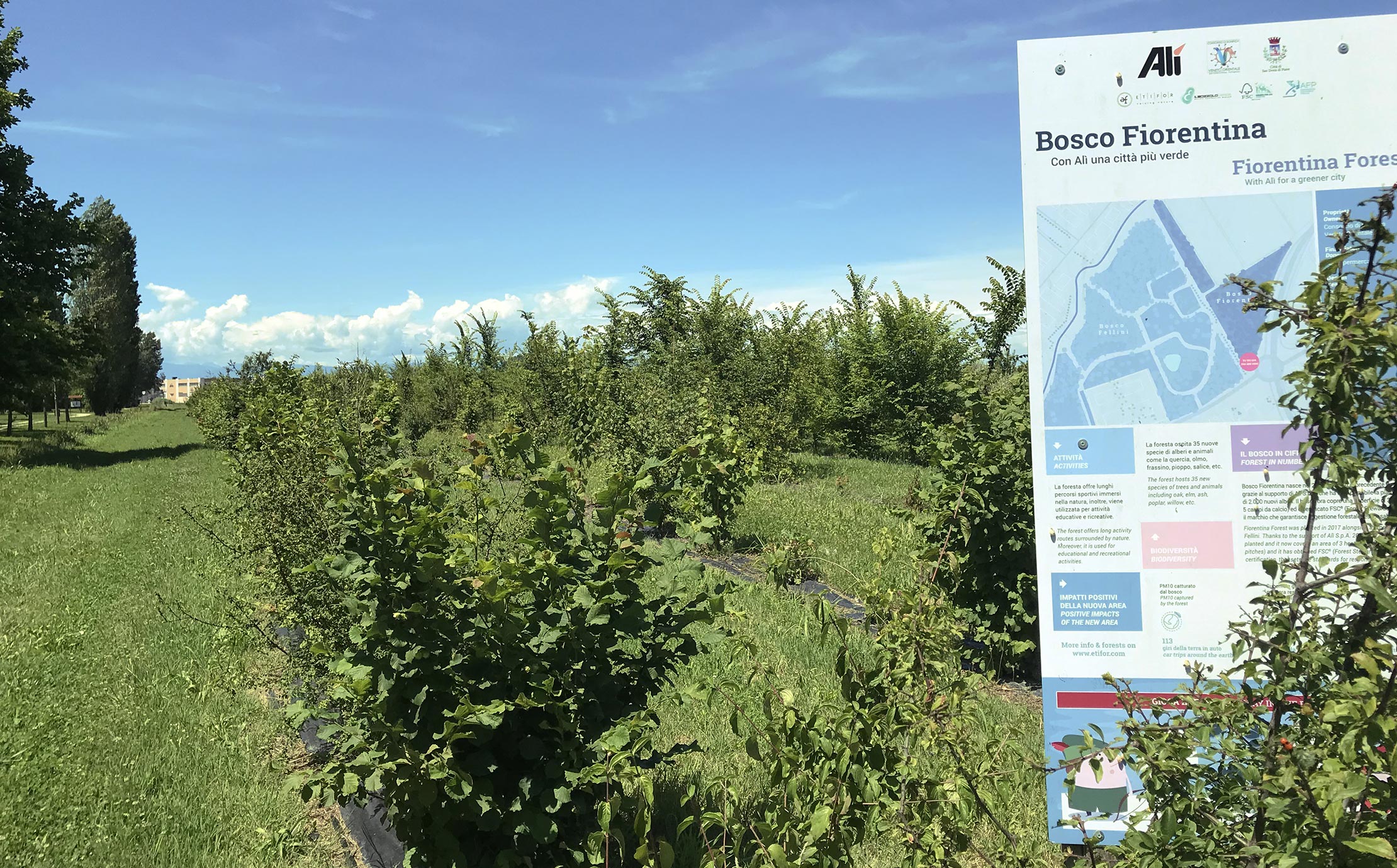 Bosco Fiorentina WOWnature