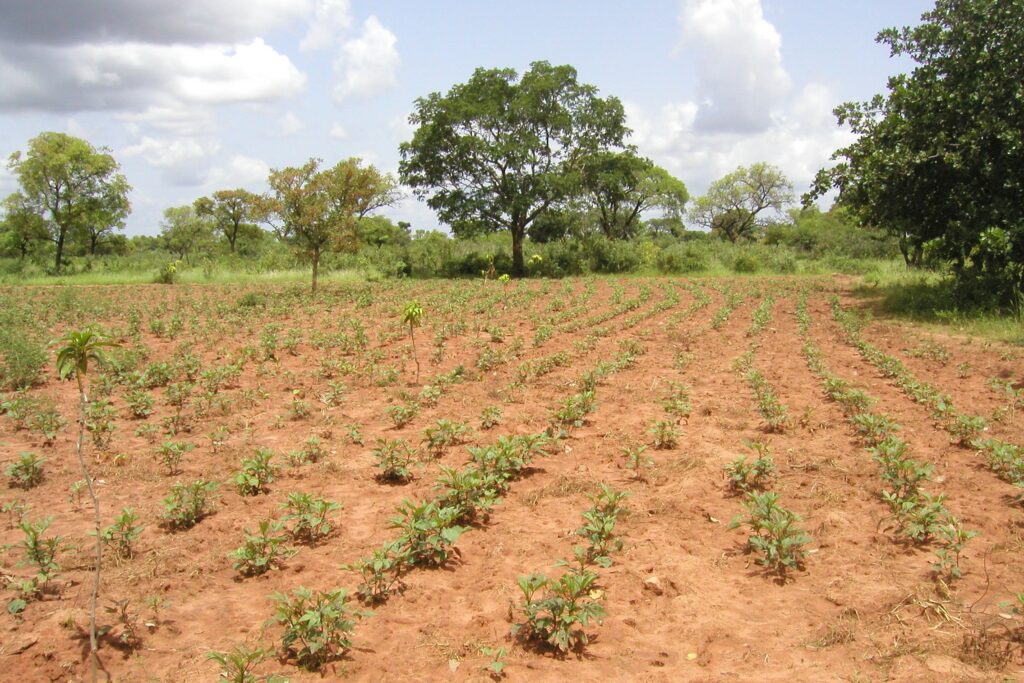 burkina-faso-desertificazione