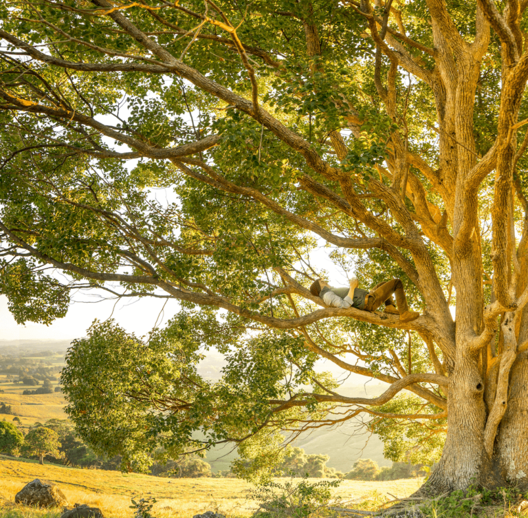 giornata-nazionale-degli-alberi