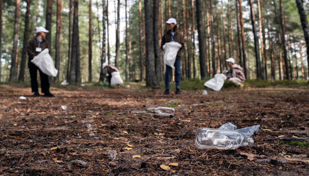 5 tips for plastic-free nature getaways. Forests without plastic are definitely gorgeous!