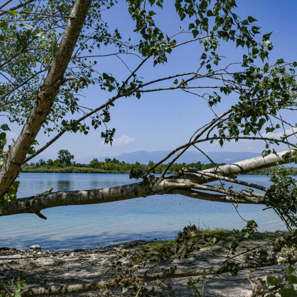 Lago di Camazzole - Carmignano di Brenta (PD)