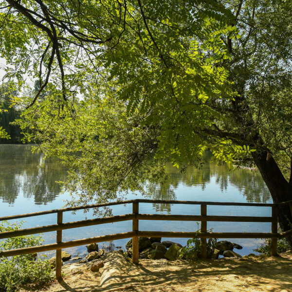 Oasi di Crosara - Nove (VI)