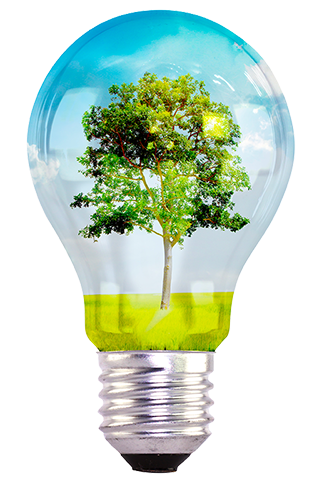 light-bulb-with-tree-inside-1