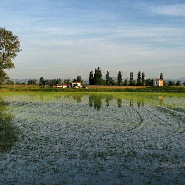 gallery_parcoticino2