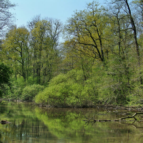 gallery_parcoticino6