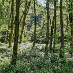 Parco Spina Verde