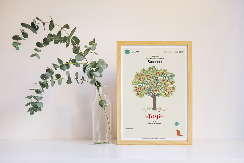 5 ottimi motivi per regalare un albero con WOWnature