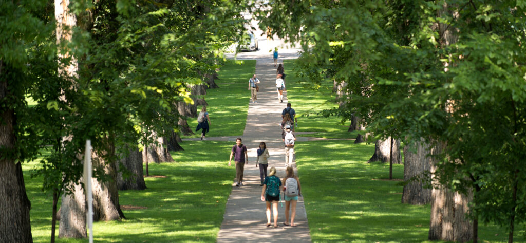 Foresta urbana con persone che camminano