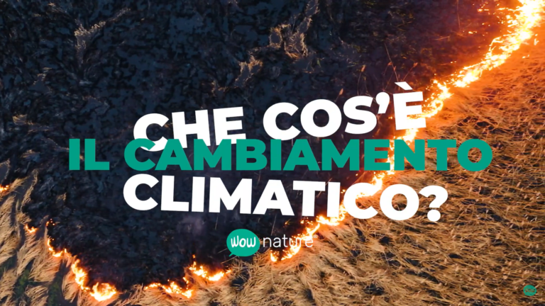 Cos'è il cambiamento climatico immagine di anteprima dell'articolo