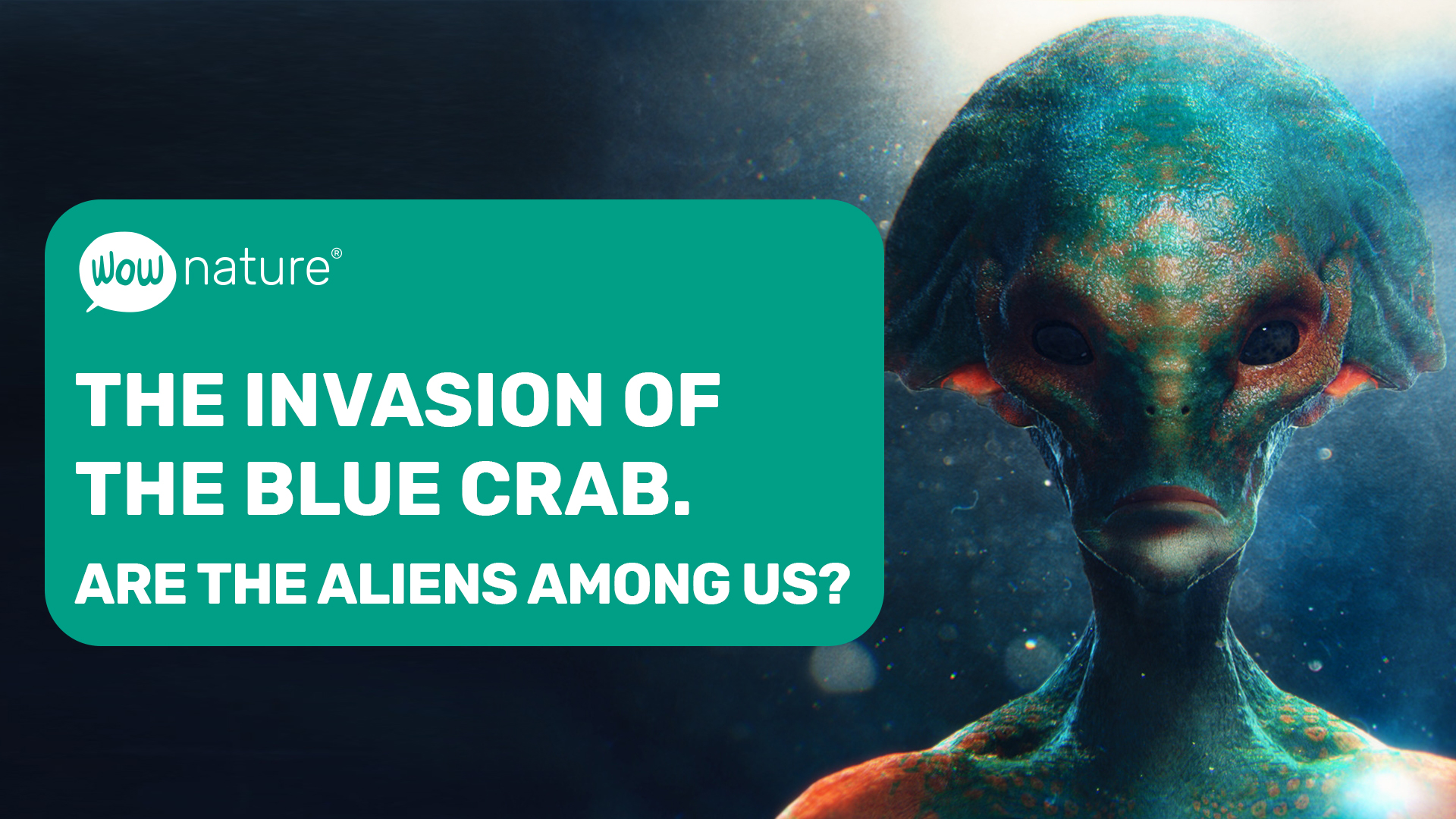 Blue Crab invasion cover page WOWnature