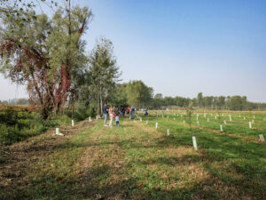 Evento WOWnature a Parco del Serio, ottobre 2023