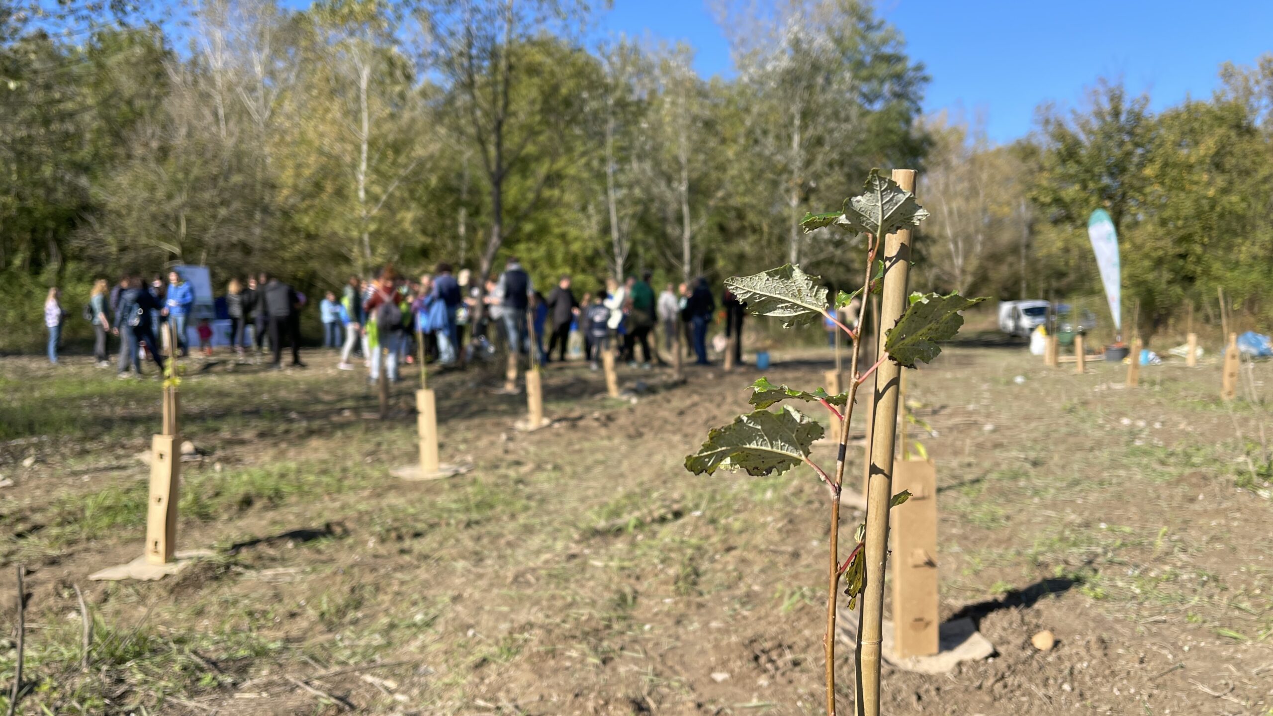 Evento-alberi-Oasi-di-Crosara-WOWnature24-scaled.jpg