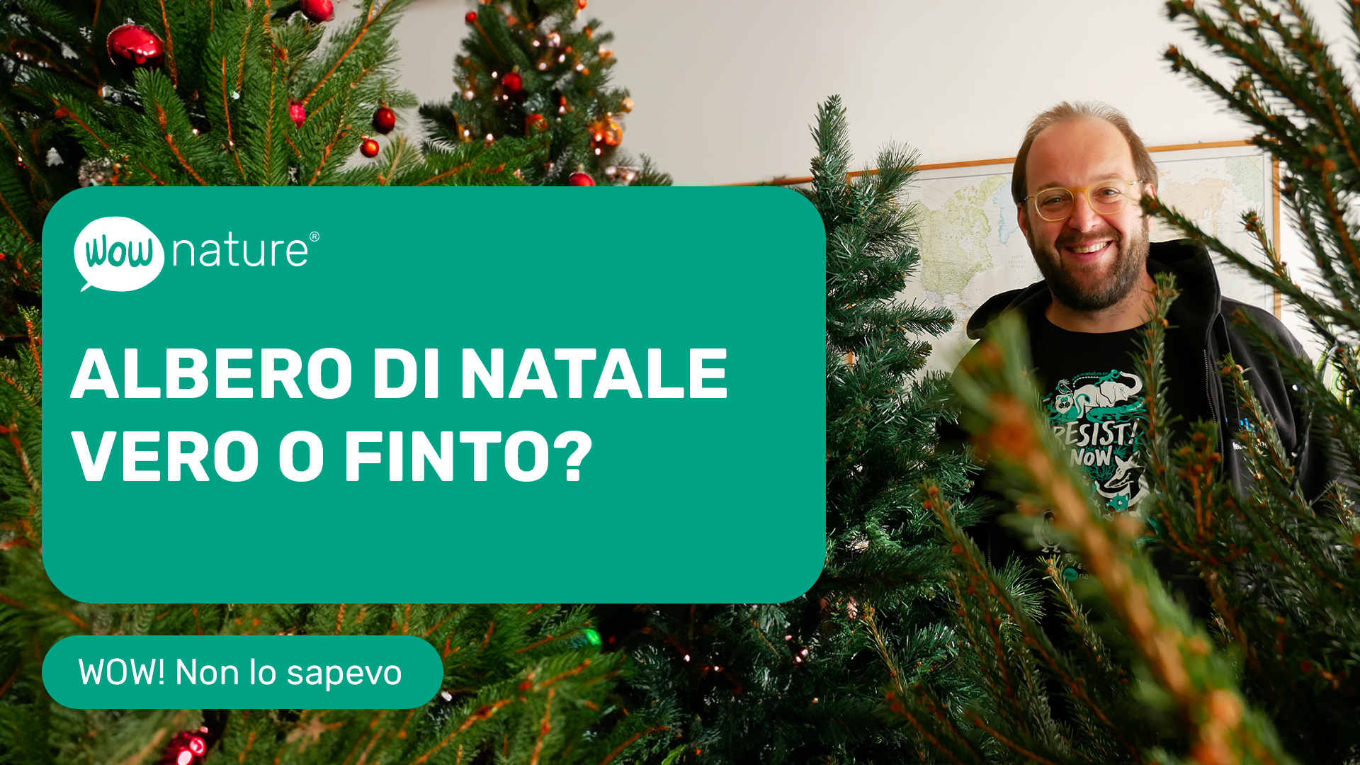 Albero di Natale vero o finto? Tutto quello che devi sapere