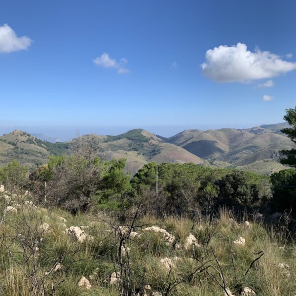 2WOWnature_Bosco dei Sette Cieli_Palermo