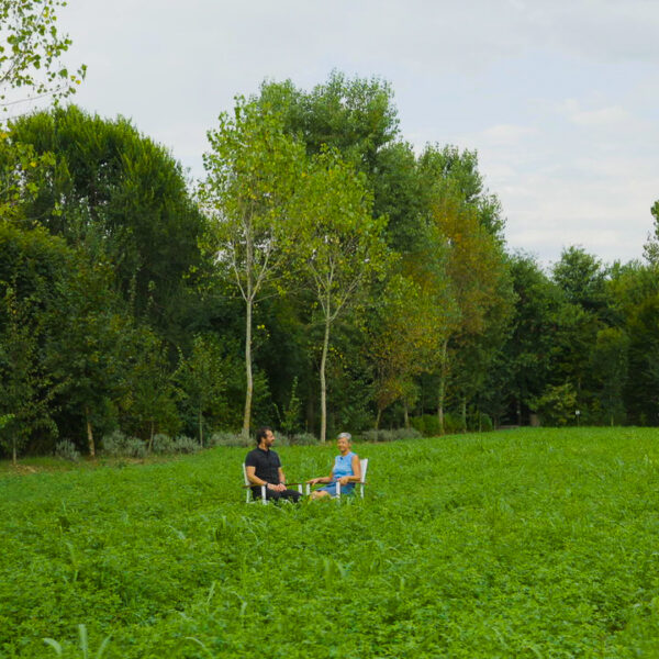 Supporto Copertina Bosco Limite