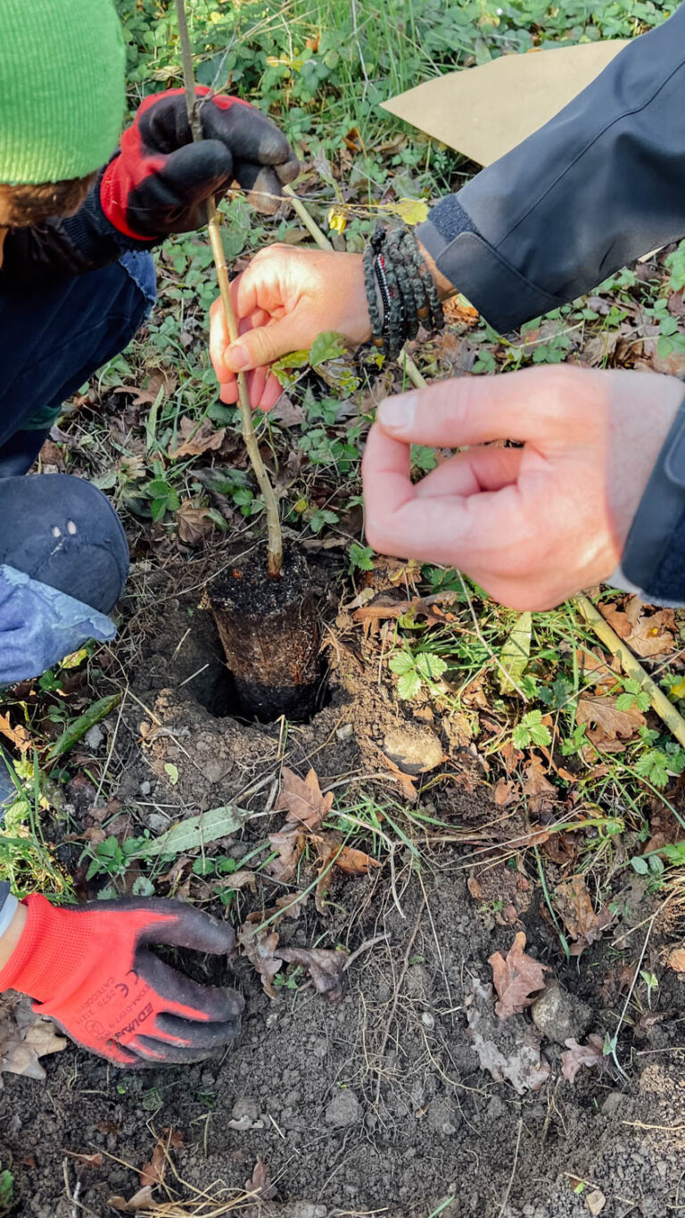 WOWnature_Bosco Limite_16.11.24-10