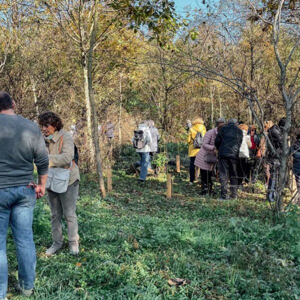 WOWnature_Bosco Limite_16.11.24-17