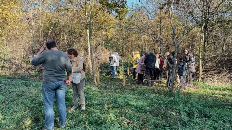 WOWnature_Bosco Limite_16.11.24-17