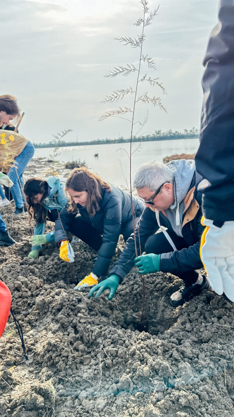 WOWnature_Lio Piccolo_09.11.24-13