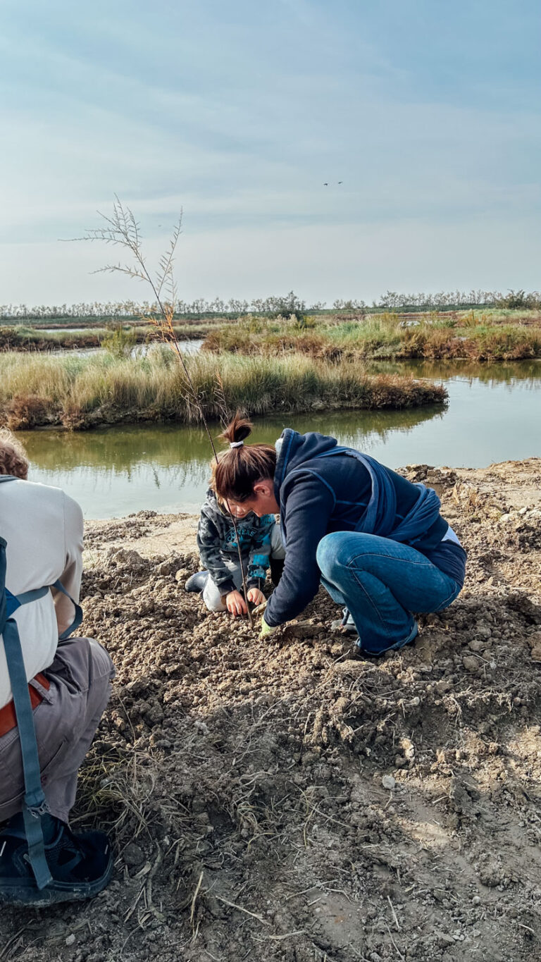 WOWnature_Lio Piccolo_09.11.24-15