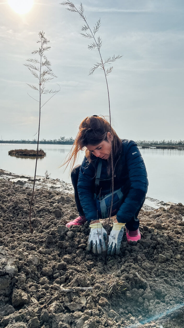 WOWnature_Lio Piccolo_09.11.24-16