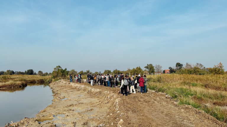 WOWnature_Lio Piccolo_09.11.24-24