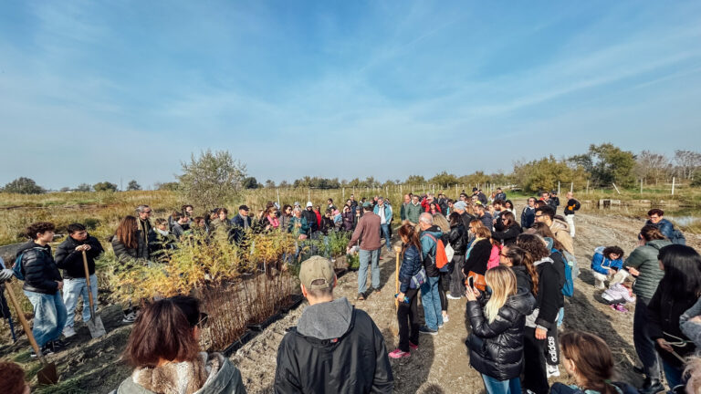 WOWnature_Lio Piccolo_09.11.24-5