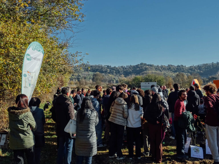Evento WOWnature di impianto alberi a Bosco del Quarelo | Novembre 2024