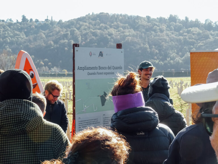 Evento WOWnature di impianto alberi a Bosco del Quarelo | Novembre 2024