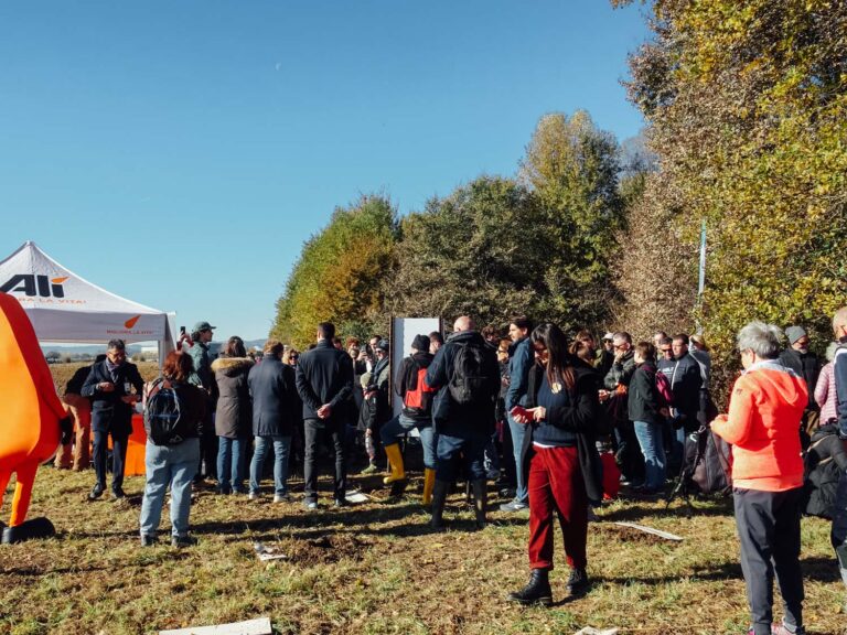 Evento di impianto alberi WOWnature a Bosco del Quarelo, Novembre 2024