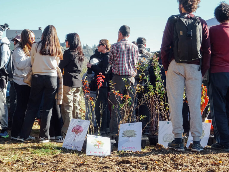 Evento di impianto alberi WOWnature a Bosco del Quarelo, Novembre 2024