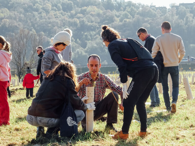 Evento di impianto alberi WOWnature a Bosco del Quarelo, Novembre 2024