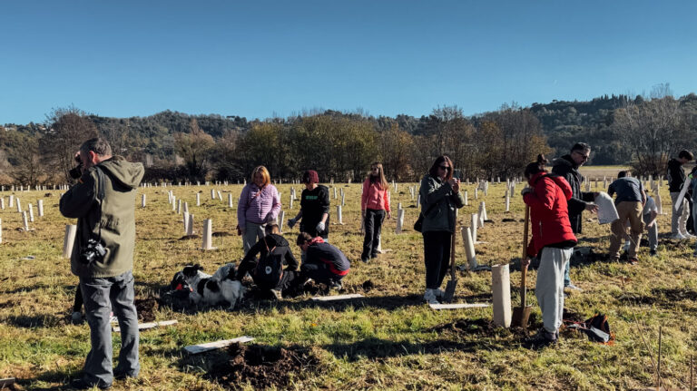 Evento WOWnature di impianto alberi a Bosco del Quarelo | Novembre 2024