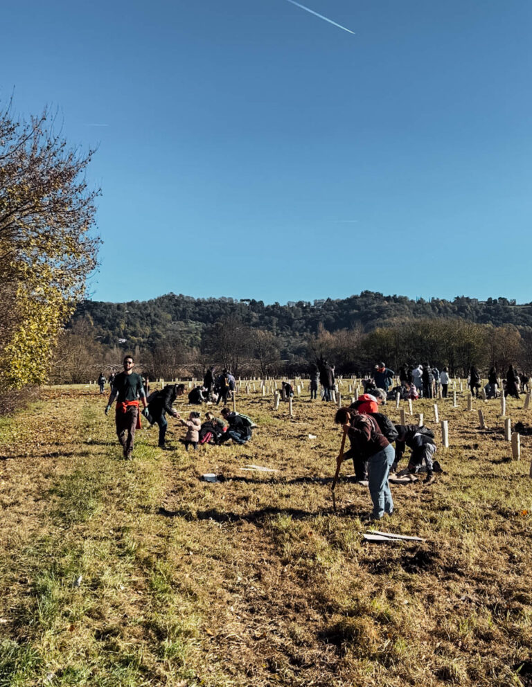 Evento WOWnature di impianto alberi a Bosco del Quarelo | Novembre 2024
