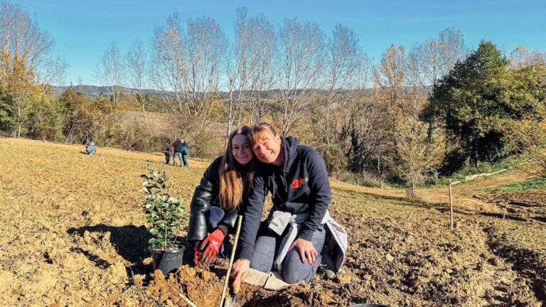 Evento di impianto alberi a Bosco Cinque Querce, Novembre 2024