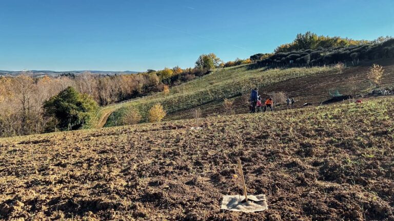 Evento WOWnature di impianto alberi a Bosco Cinque Querce | Novembre 2024