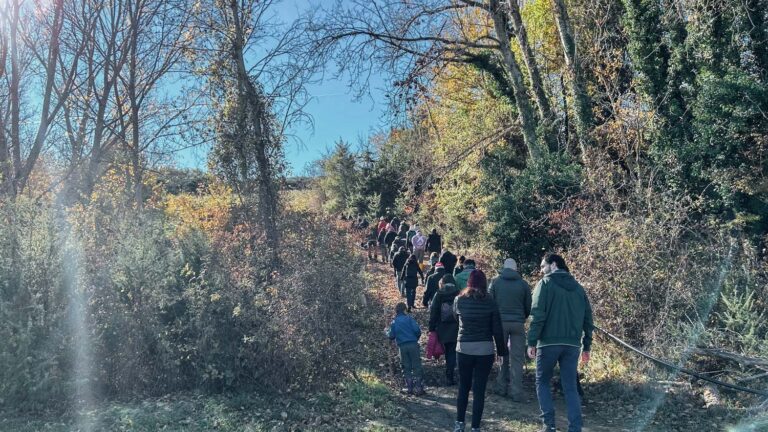 Evento WOWnature di impianto alberi a Bosco Cinque Querce | Novembre 2024