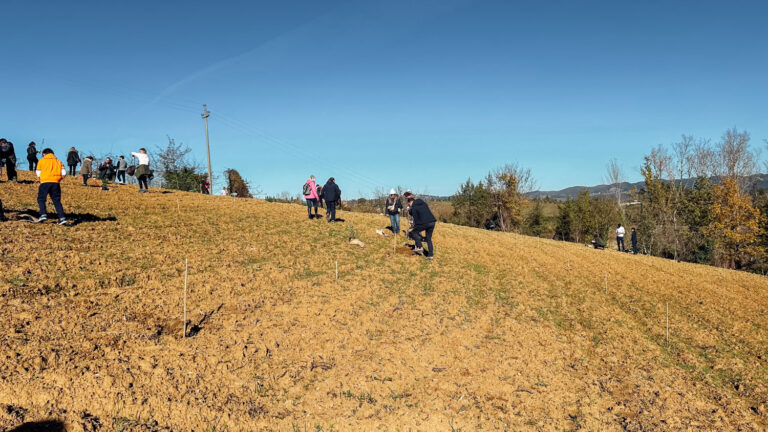 Evento WOWnature di impianto alberi a Bosco Cinque Querce | Novembre 2024