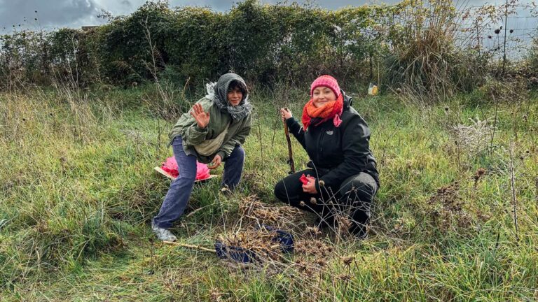 Evento WOWnature di impianto alberi a Bosco Sette Cieli, novembre 2024