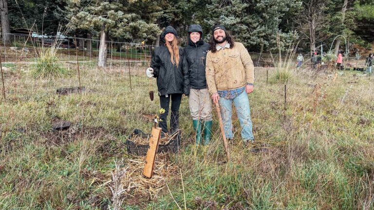 Evento WOWnature di impianto alberi a Bosco Sette Cieli, novembre 2024