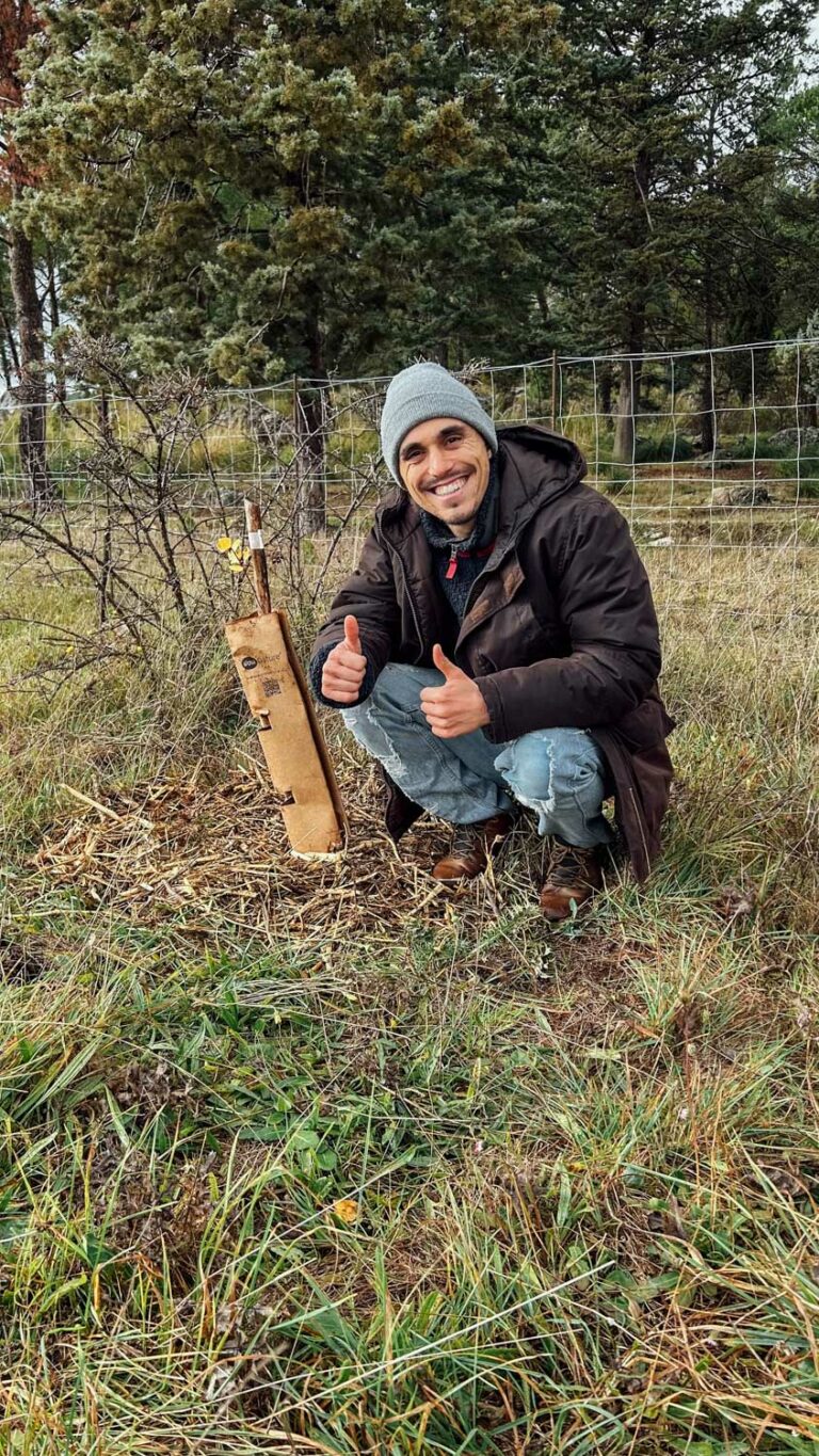 Evento di impianto alberi WOWnature a Bosco Sette Cieli, novembre 2024