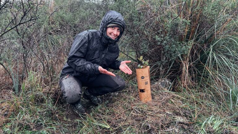Evento di impianto alberi WOWnature a Bosco Sette Cieli, novembre 2024