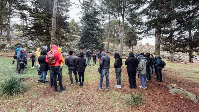 Evento WOWnature di impianto alberi a Bosco Sette Cieli, novembre 2024