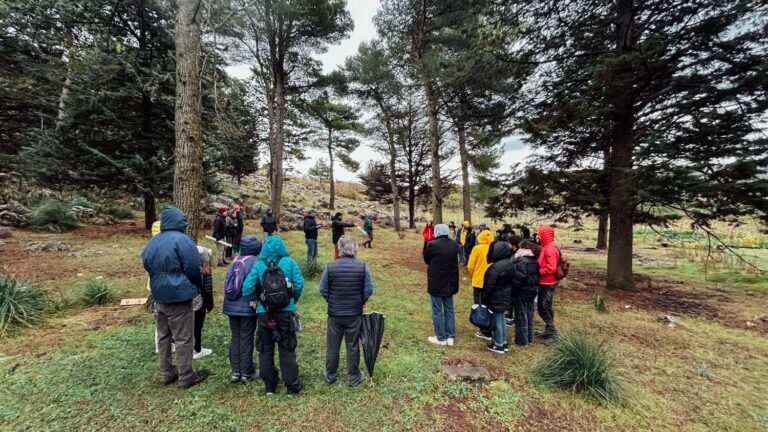 Evento WOWnature di impianto alberi a Bosco Sette Cieli, novembre 2024
