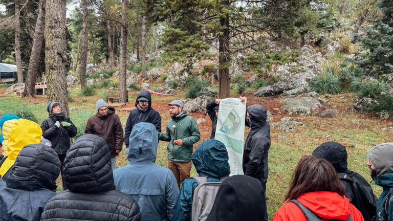 Evento WOWnature di impianto alberi a Bosco Sette Cieli, novembre 2024