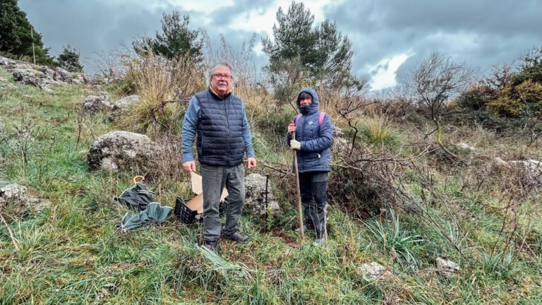 Evento WOWnature di impianto alberi a Bosco Sette Cieli, novembre 2024