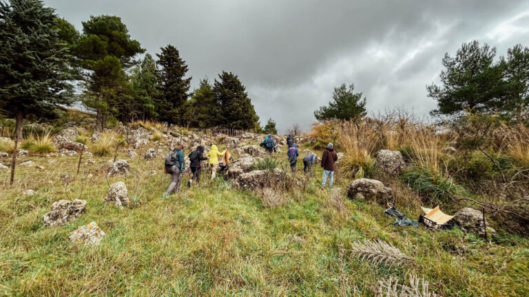 Evento WOWnature di impianto alberi a Bosco Sette Cieli, novembre 2024