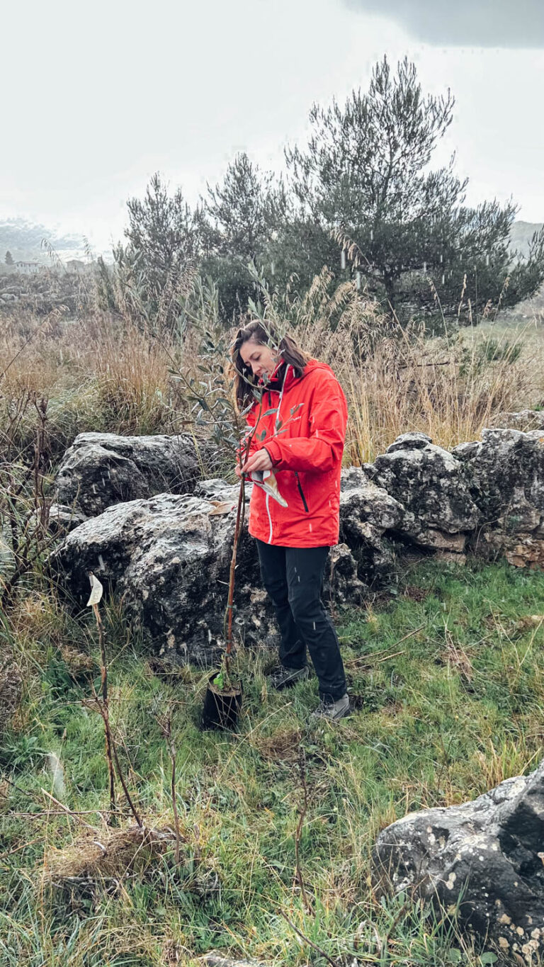 Evento WOWnature di impianto alberi a Bosco Sette Cieli, novembre 2024
