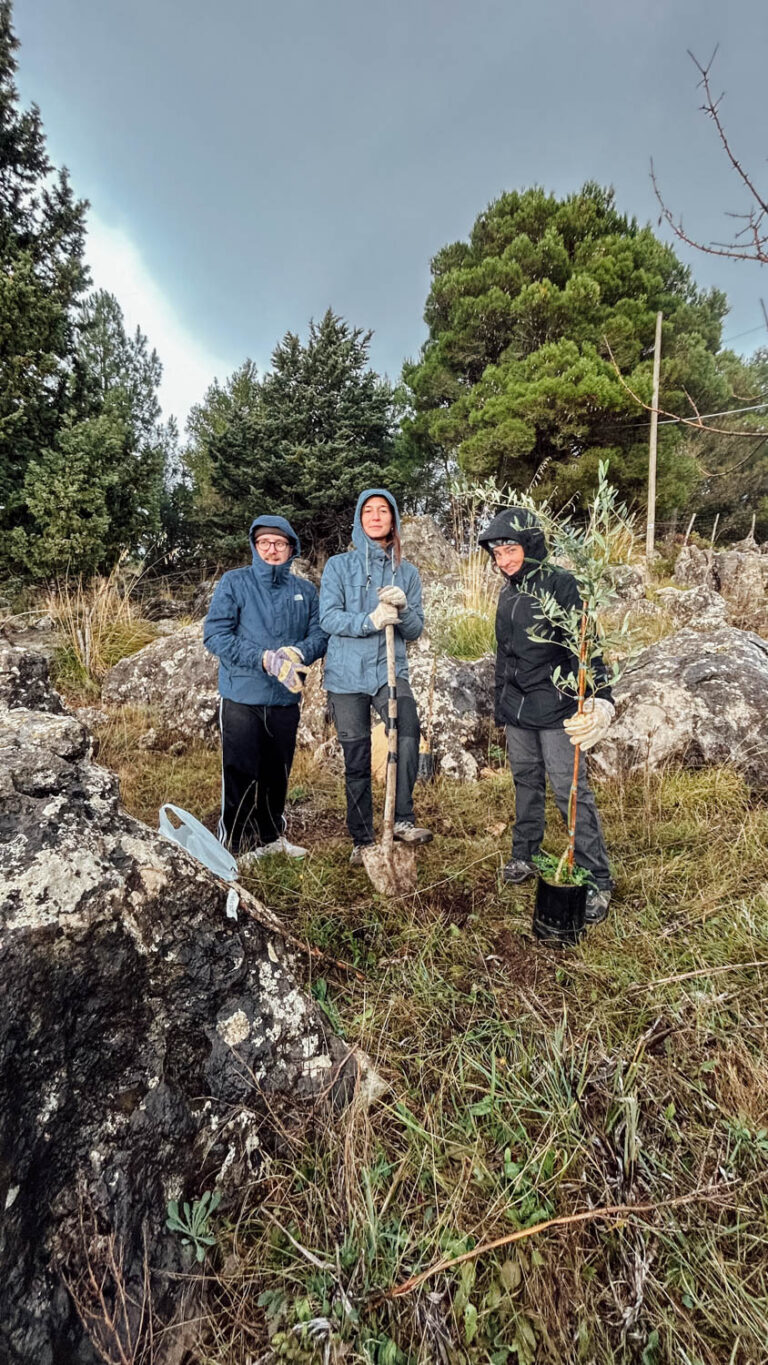 Evento WOWnature di impianto alberi a Bosco Sette Cieli, novembre 2024